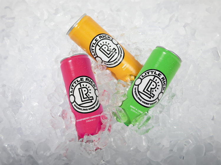 <h2>WHY LITTLE RICK</h2>